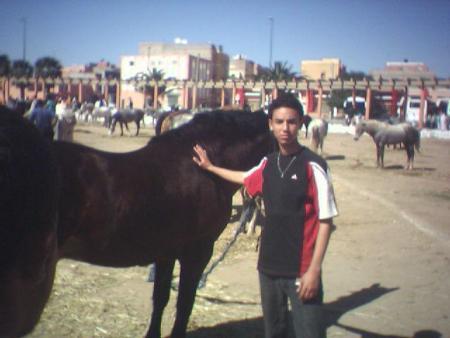 chof ichitan kairaf bilhayawan